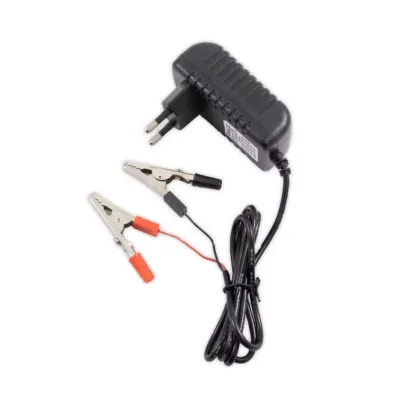 Tipsun Lifepo4 batteriladdare 6V (Litium)