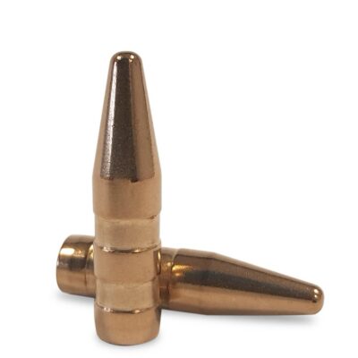 Fox Bullets Target